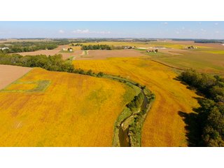 Property photo 8 - PRIME LAND AUCTION - 244+/- ACRES OFFERED IN 4 TRACTS IN UNION CO., IN & PREBLE CO., OH
